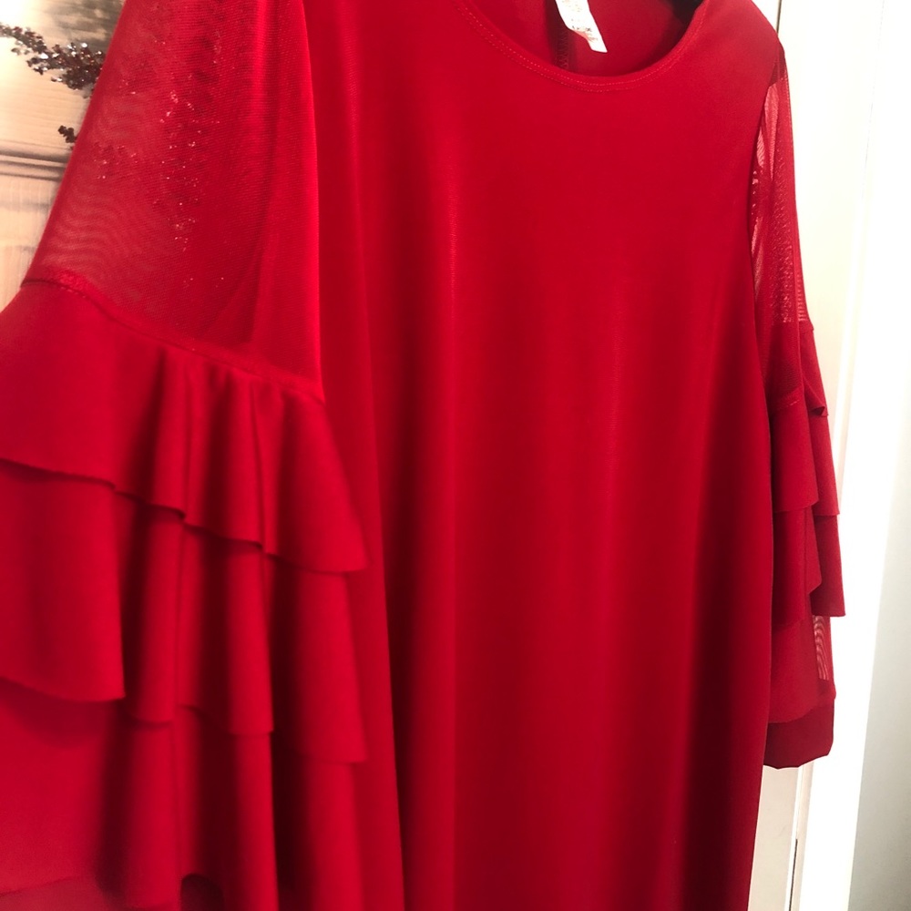 Red Blouse